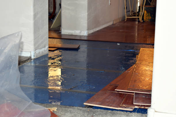 Professional Burst Pipe Cleanup technician working in Three Bridges, NJ